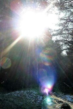 блики яркого солнечного света