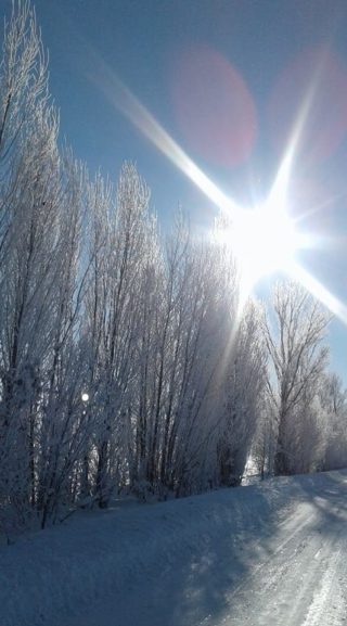 Белый снег искрится на Солнце под синим небом