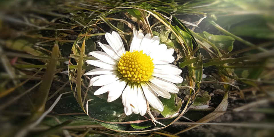 Хокку о жизни