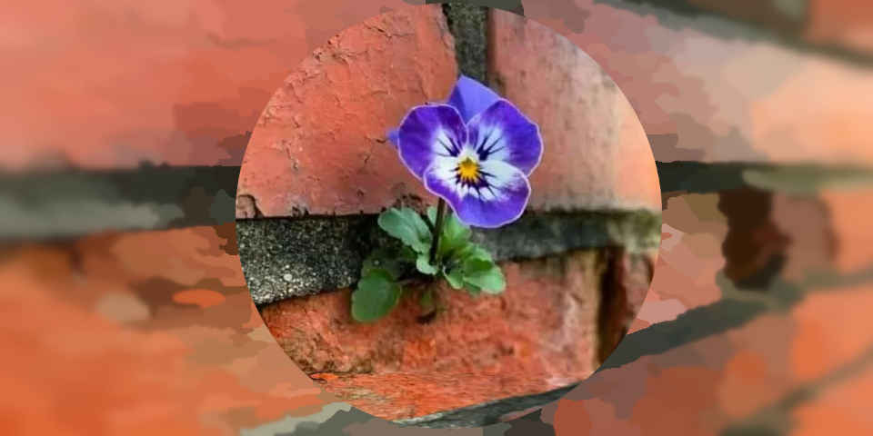 Новое мышление