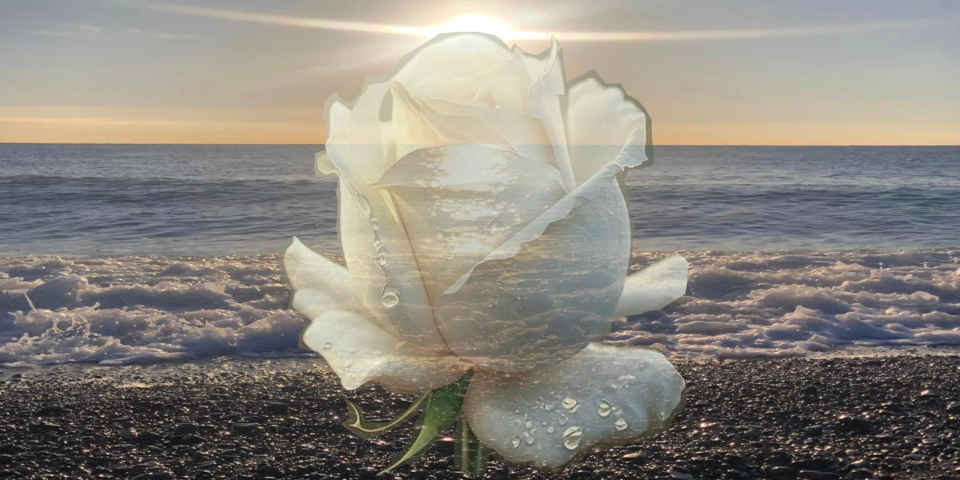 Пробуждение к жизни