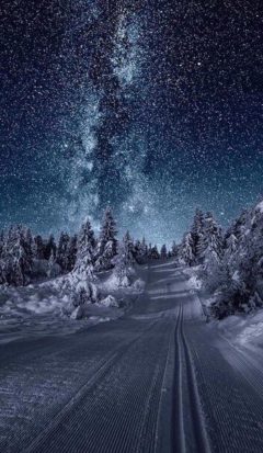 ночная зимняя дорога к Млечному пути