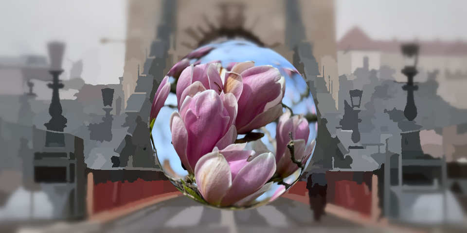 Образы в энергокоррекции